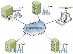 數(shù)據(jù)存儲基石 設(shè)備類型、系統(tǒng)架構(gòu)與服務(wù)支持全景解析